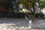 Козацькі забави 2019 (33)