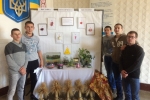 Квест (25)